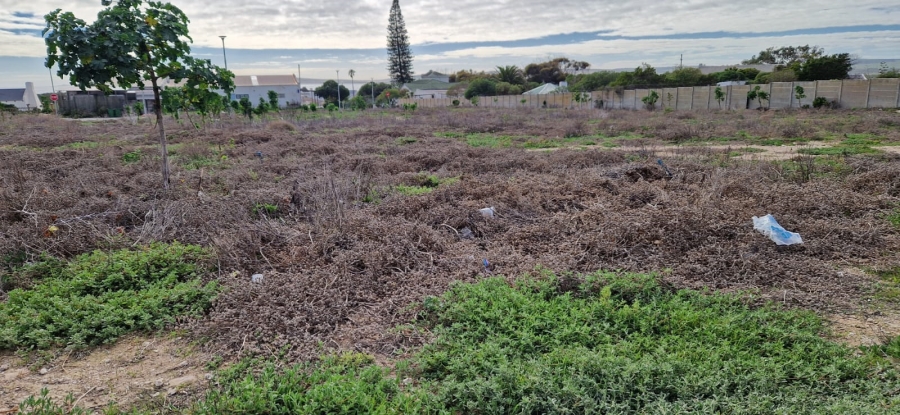 0 Bedroom Property for Sale in Middedorp Western Cape